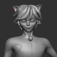 Screenshot-2025-06-27-230055.png Cat Noir Fixed