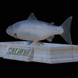Salmon-statue-16.png Atlantic salmon / salmo salar / losos obecný fish statue detailed texture for 3d printing