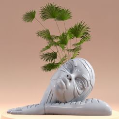 G1_PerfectlyClear.jpg STL-Datei CYBER GIRL BLUMENTOPF・3D-Drucker-Vorlage zum herunterladen