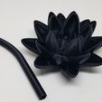 39c9da34-aaa1-44f7-a276-5619ead828c4.jpg MTG Black Lotus Flower Display Piece - Magic The Gathering Desk Toy