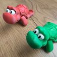 tortue flexible