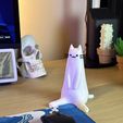 9125086F-54D6-4D14-81FF-DAE1F12390D3.jpeg Sitting Cat Decor