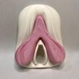 2.jpeg Fichier STL ANATOMIE DU CLITORIS・Objet pour impression 3D à télécharger