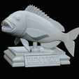 Dentex-trophy-51.png fish Common dentex / dentex dentex trophy statue detailed texture for 3d printing