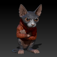 Sphynx-with-Jacket-and-Drawstrings-4.png Sphynx with Hoodie