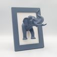 elephant-frame-1-1-01.jpg Elephant Frame
