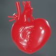 WhatsApp Image 2020-03-11 at 13.47.39 (1).jpeg Tied Anatomical Heart