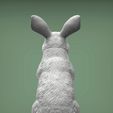 rabbit6.jpg Rabbit 3D print model