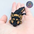 396561121_885781052988339_3621401880462898798_n.jpg Baby Dog and Cat Flexi Keychains (Set of 8.)