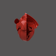 9.png HEART SEGMENTAION WITH CUT SECTIONS