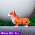 IMG_3068.jpg STL file Corgi dog print in place articulated flexi toy・Design to download and 3D print