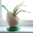 3.jpg Sprout - Self-Watering Desktop Planter for small plants and succulents