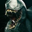 venon_01.jpg TESTA DI VENOM