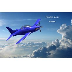 DISPLAY-IMAGE.jpg Free 3D file PILATUS PC-21 600mm (TEST FILES)・3D printable model to download
