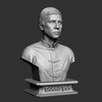 015.jpg Donnie Yen Bust Sculpture
