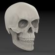 untitled.163.jpg Classic Skull