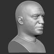11.jpg Joe Rogan bust for 3D printing