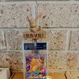 IMG_1988.jpg Support de cartes Pokemon Eevve