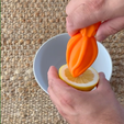 Screenshot-2023-03-16-141044.png Free STL file Squid Citrus Juicer・Template to download and 3D print