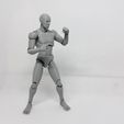 20191225_212004.jpg 3D file Mr figure the 3D printed action figure・3D printer model to download