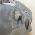 P1110138.jpg Skull and crossbones lid for SATA paint bucket 600ml