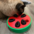 ZukoLookingAtCatToy.png Watermelon Treat Puzzle Interactive Cat Toy with Multiple Difficulty Levels
