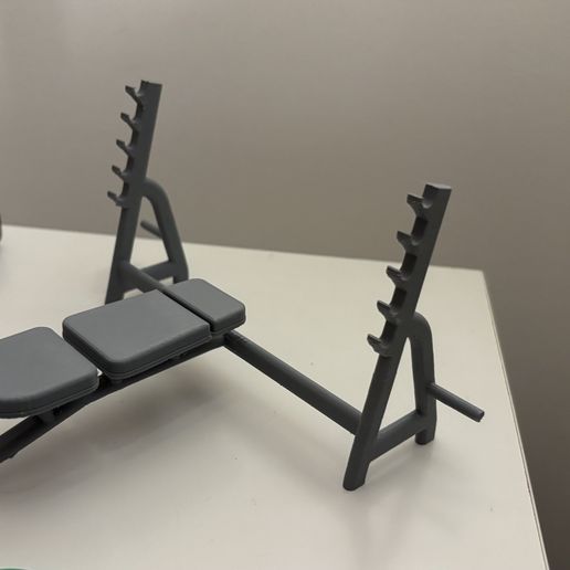 IMG_9049.jpeg Banco de pesas en miniatura