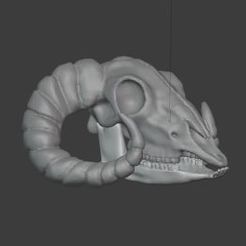 Carnero.jpg Ram skull