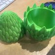 featured_preview_IMG_4176.JPG Dragon Egg