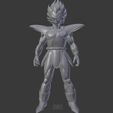 A1.jpg Vegeta Saiyan - DBZ