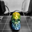 COLECCIÓN BEARD SKULL - Nº1
