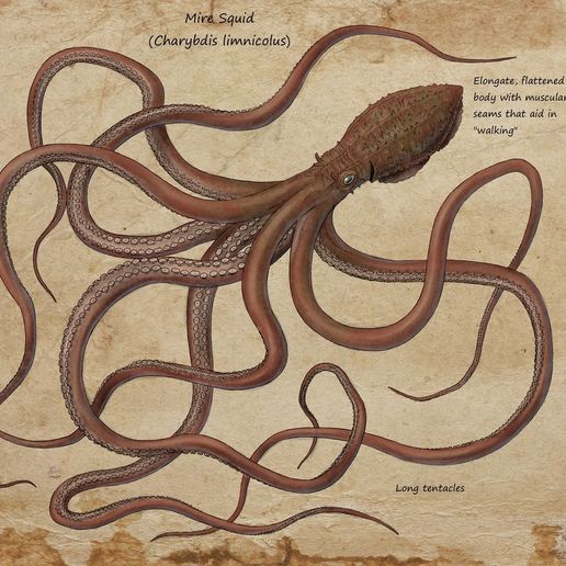 look squid fanart 3D model