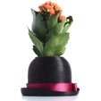 SAM_0389.jpg Bowler Hat Mini Plant Pot for Succulent&Cactus