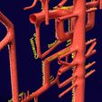 PS0083.jpg Human arterial system schematic 3D