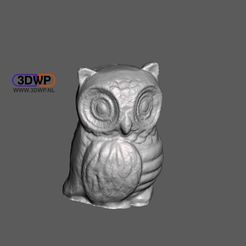 Owl1.JPG Télécharger fichier STL gratuit Sculpture de hibou - Scan 3D • Design pour imprimante 3D, 3DWP