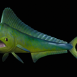 mahi-mahi-model-1-22.png fish mahi mahi / common dolphin trophy statue detailed texture for 3d printing
