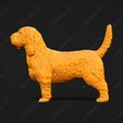1010-Basset_Griffon_Vendeen_Petit_Pose_01.jpg Basset Griffon Vendeen Petit Dog 3D Print Model Pose 01