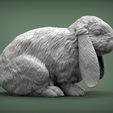 Rabbit3.jpg Rabbit American Fuzzy Fop 3D print model