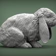 Rabbit3.jpg Kaninchen American Fuzzy Fop 3D-Druck Modell