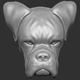 17.jpg Boxer dog for 3D printing