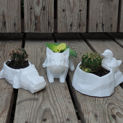 IMG_20201028_143555.png Download STL file low poly animal pot planter (cat, hippo, nest bird) • 3D printing model, Prigle