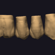 Screenshot-2023-11-02-154521.png teeth libraries