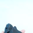 Indoraptor-skull-model-3d-print-5.jpg Indoraptor skull 3d print 30cm