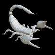 Capture-d’écran-2023-07-06-à-11.24.13.png scorpion