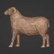 R5.jpg LowPoly Sheep Figurine