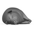 3D-Print-Ready-Pig-Sleeping-Pose-02.jpg Модель для 3D-печати "Спящий поросенок