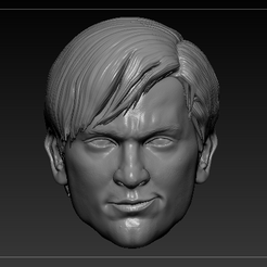 BULLY-MAGUIRE-V3-FRENTE.png STL file BULLY MAGUIRE V2 TOBEY MAGUIRE PETER PARKER SPIDERMAN 3 HEADSCULPT・3D printable design to download