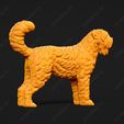 2446-Bouvier_des_Flandres_Pose_03.jpg Bouvier des Flandres Dog 3D Print Model Pose 03
