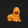 1072-Basset_Griffon_Vendeen_Petit_Pose_09.jpg Basset Griffon Vendeen Petit Dog 3D Print Model Pose 09