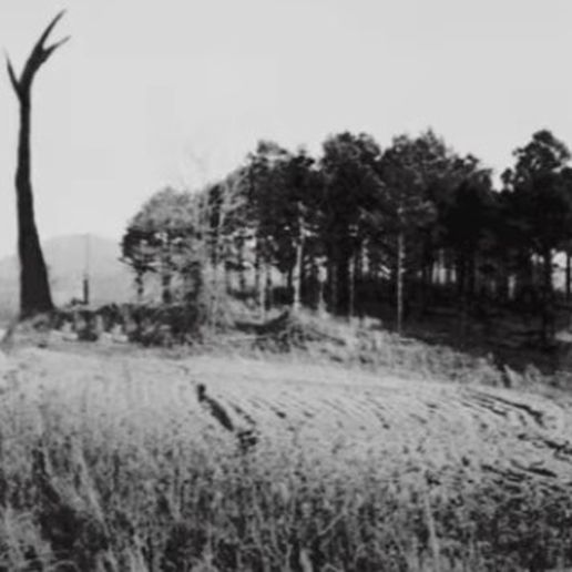 MONUMENT MYTHOS - SPECIAL TREE 3D model